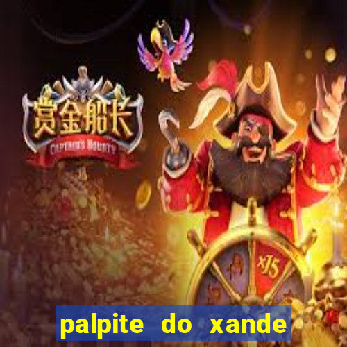 palpite do xande para hoje